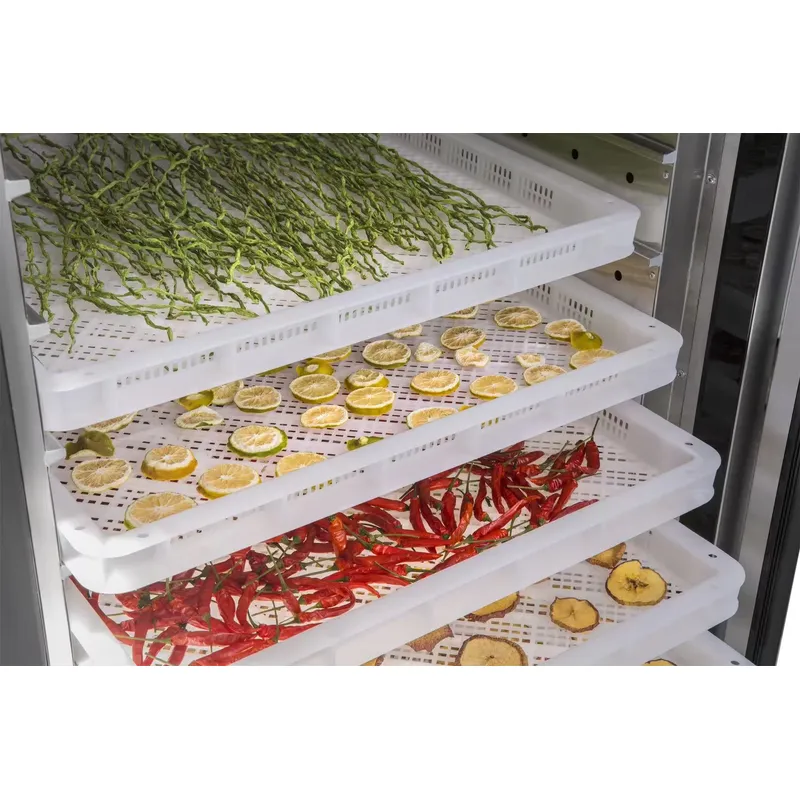 เครื่องอบแห้งอุตสาหกรรมและเชิง - Commercial Food Dehydrator บทวิจารณ์และราคา