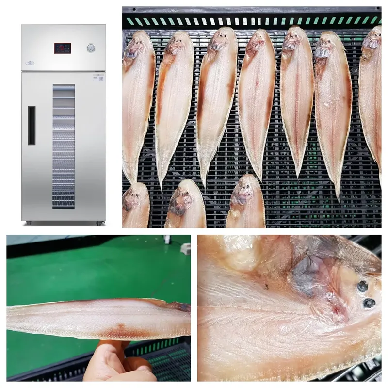 เครื่องอบแห้งอุตสาหกรรมและเชิง - Commercial Food Dehydrator บทวิจารณ์และราคา